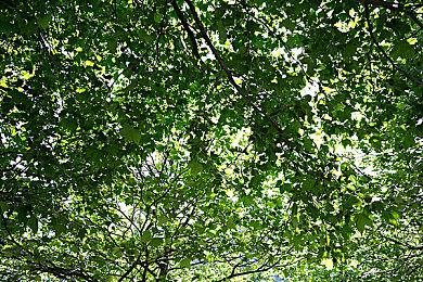 科乐美对战手游《游戏王CROSS DUEL》将于9月4日停服